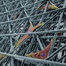 В MIT разработали технологию 3D-печати субстрата с ячейками масштаба живых клеток